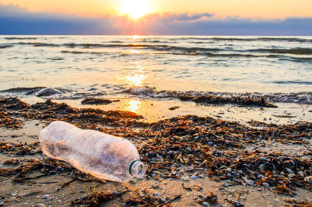 The Facts about Plastic Waste: What You Need to Know - Wilfred Eco