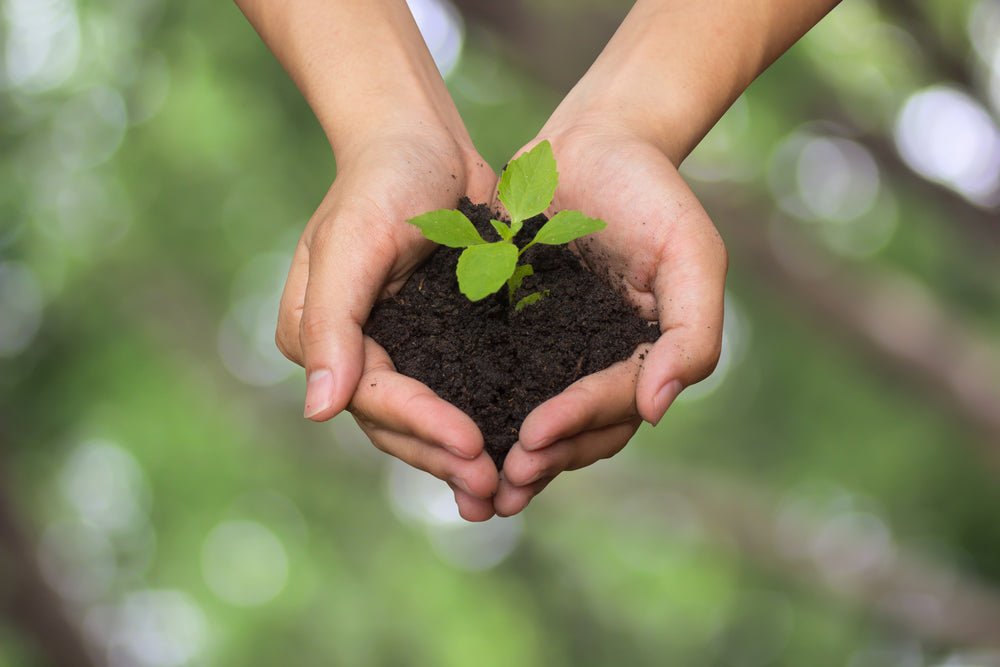 The Ultimate Guide: Daily Actions for our Planet - Wilfred Eco